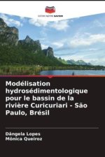 Modélisation hydrosédimentologique pour le bassin de la rivi?re Curicuriari - S?o Paulo, Brésil