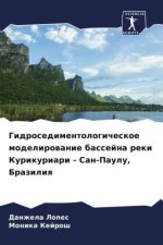 Gidrosedimentologicheskoe modelirowanie bassejna reki Kurikuriari - San-Paulu, Braziliq