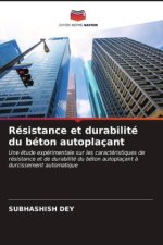 Résistance et durabilité du béton autoplaçant