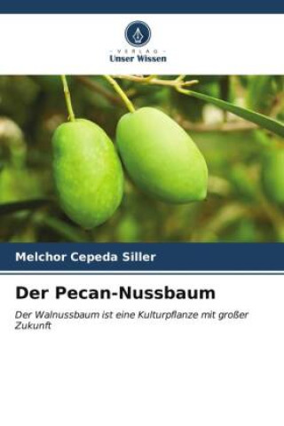 Der Pecan-Nussbaum