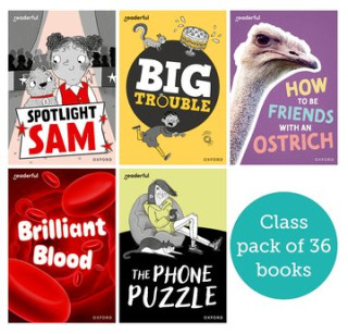 Readerful Rise: Class Pack  (Paperback)