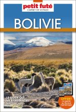 Bolivie 2024 Carnet Petit Futé