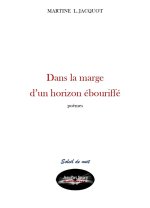 Dans la marge d'un horizon ébouriffé