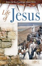 Life of Jesus: Know the Key Teachings about Christ