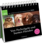 Von Pechvögeln und bunten Hunden 2025