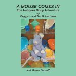 A Mouse Comes In