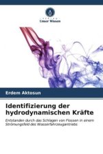 Identifizierung der hydrodynamischen Kräfte