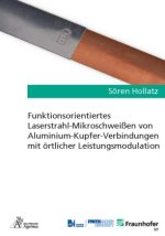 Funktionsorientiertes Laserstrahl-Mikroschweißen von Aluminium-Kupfer-Verbindungen mit örtlicher Leistungsmodulation