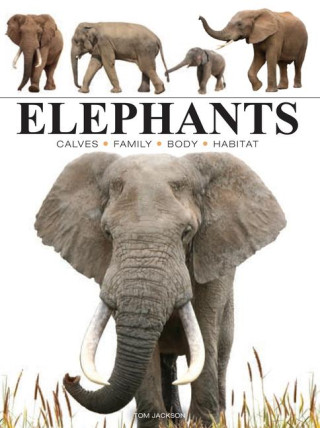 ELEPHANTS