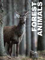 FOREST ANIMALS