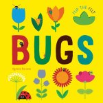 HIDDEN BUGS