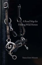 A Roadmap for Finding Wild Horses