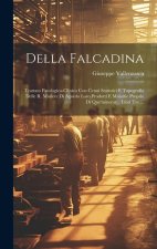 Della Falcadina: Trattato Patologico-clinico Con Cenni Statistici E Topografia Delle R. Miniere Di Agordo Loro Prodotti E Malattie Prop