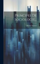 Principes De Sociologie...