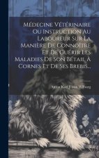 Médecine Vétérinaire Ou Instruction Au Laboureur Sur La Mani?re De Connoître Et De Guérir Les Maladies De Son Bétail ? Cornes Et De Ses Brebis...