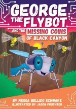 Chapter Book Sunbird George the Flybot and the Missing Coins of Black Canyon