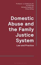 Domestic Abuse and the Family Justice System: Law and Practice