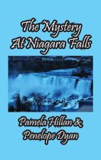 The Mystery At Niagara Falls!