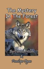 The Mystery In The Forest