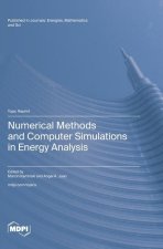 Numerical Methods and Computer Simulations in Energy Analysis