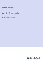 Aus der Schneegrube