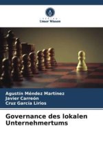 Governance des lokalen Unternehmertums