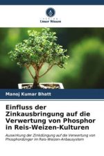 Einfluss der Zinkausbringung auf die Verwertung von Phosphor in Reis-Weizen-Kulturen