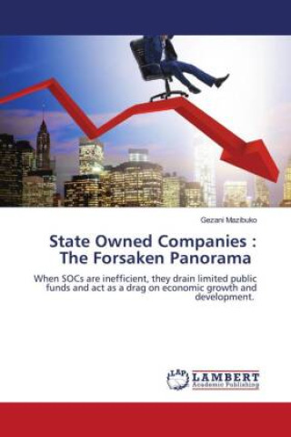 State Owned Companies : The Forsaken Panorama