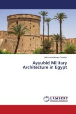 Ayyubid Military Architecture in Egypt