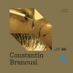 L'art en jeu - la muse, constantin brancusi