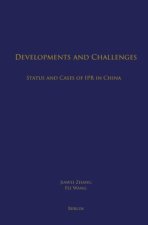 Developments and Challenges: Status and Cases of IPR in China