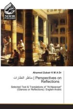 | Perspectives on Reflections