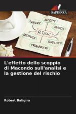 L'effetto dello scoppio di Macondo sull'analisi e la gestione del rischio
