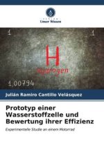 Prototyp einer Wasserstoffzelle und Bewertung ihrer Effizienz