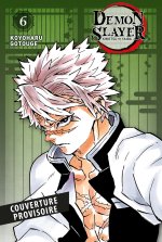 Demon Slayer - Edition Pilier T06