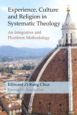 Experience, Culture and Religion in Systematic Theology: An Integrative and Pluriform Methodology