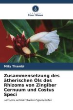 Zusammensetzung des ätherischen Öls des Rhizoms von Zingiber Cernuum und Costus Speci