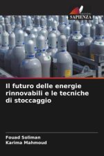 Il futuro delle energie rinnovabili e le tecniche di stoccaggio