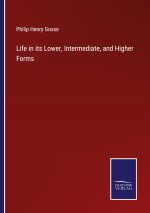 Life in its Lower, Intermediate, and Higher Forms