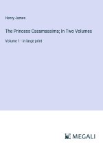 The Princess Casamassima; In Two Volumes