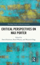 Critical Perspectives on Max Porter