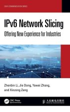 IPv6 Network Slicing
