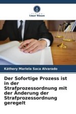 Der Sofortige Prozess ist in der Strafprozessordnung mit der Änderung der Strafprozessordnung geregelt