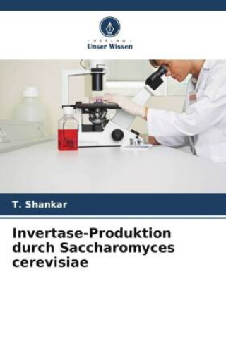 Invertase-Produktion durch Saccharomyces cerevisiae