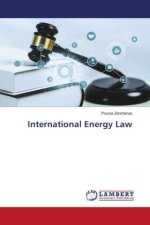 International Energy Law