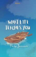 What life teaches you