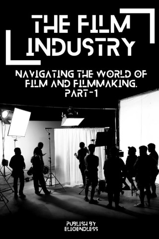 The Film Industry