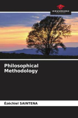 Philosophical Methodology