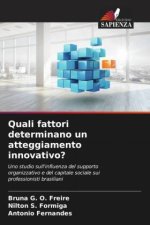 Quali fattori determinano un atteggiamento innovativo?