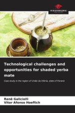 Technological challenges and opportunities for shaded yerba mate